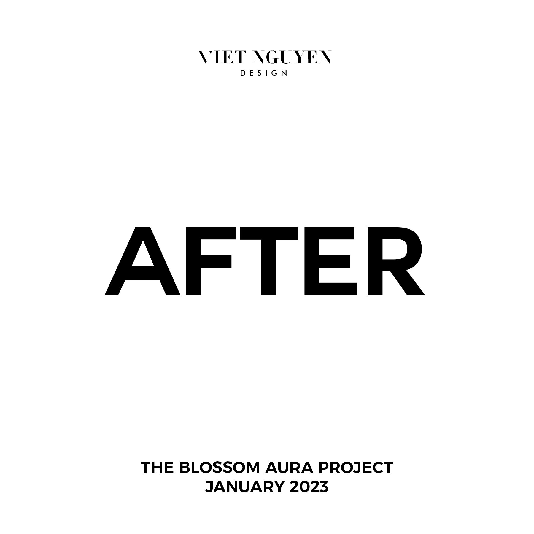 Viet Nguyen Branding visual branding