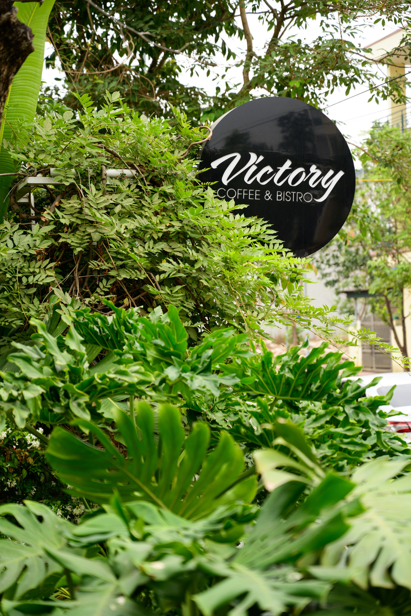 Viet Nguyen Branding visual branding