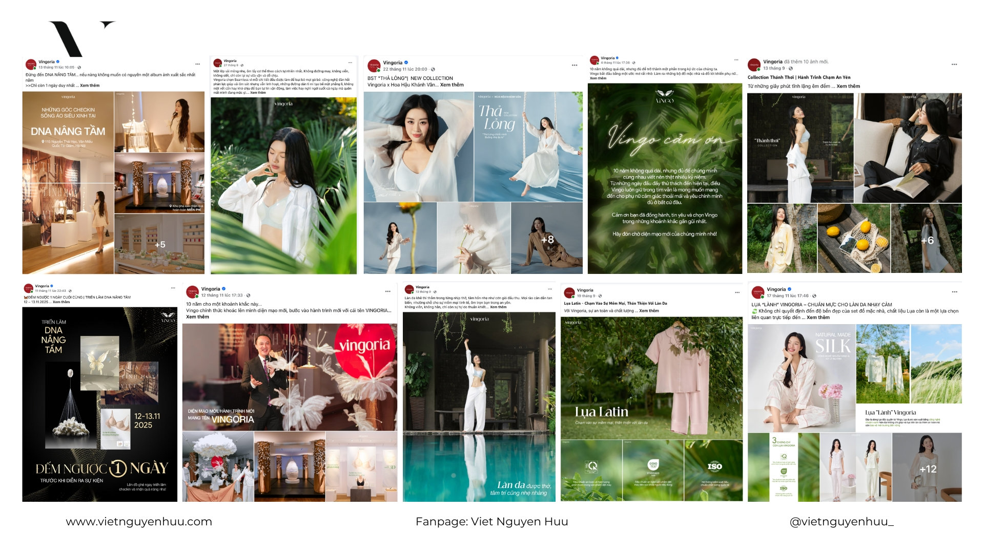 Viet Nguyen Branding visual branding