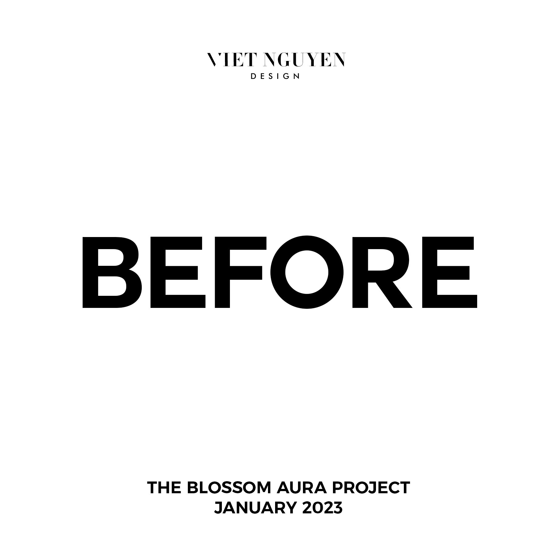 Viet Nguyen Branding visual branding