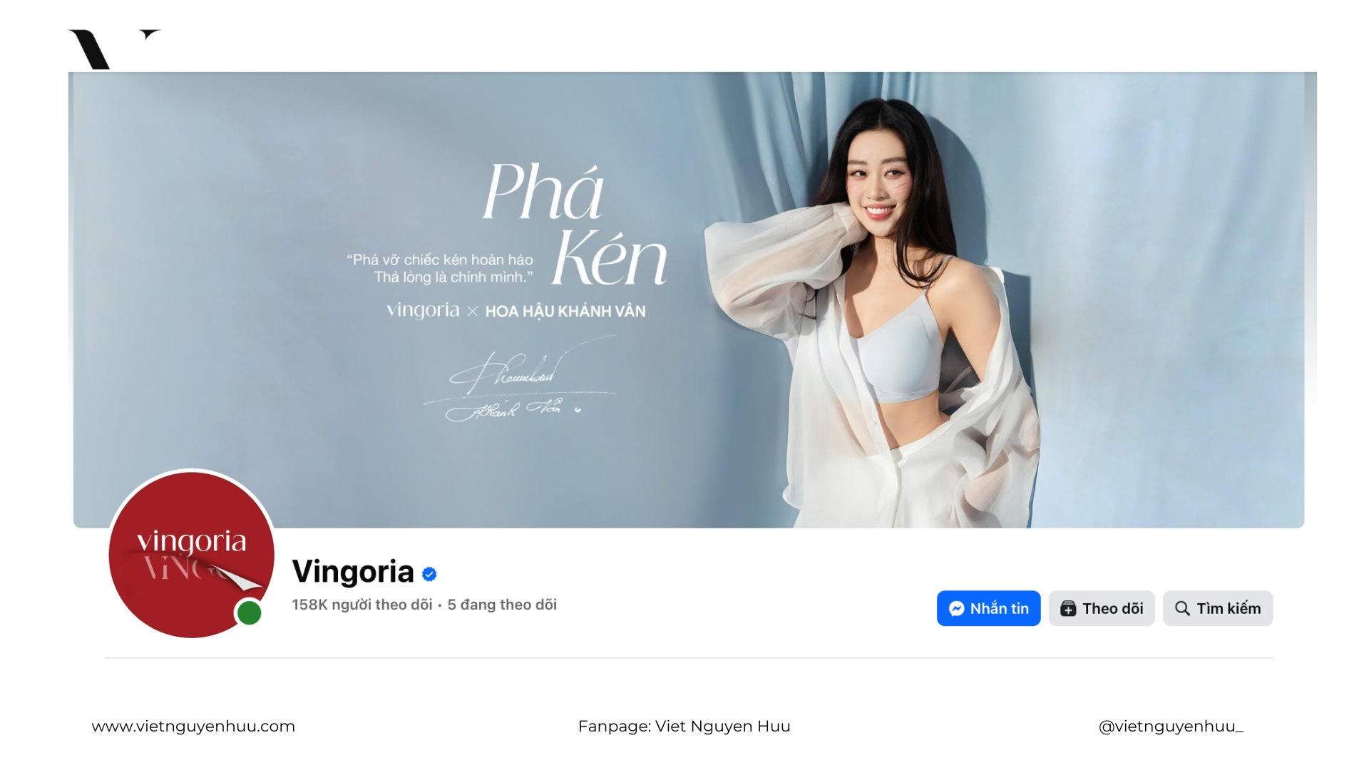 Viet Nguyen Branding visual branding