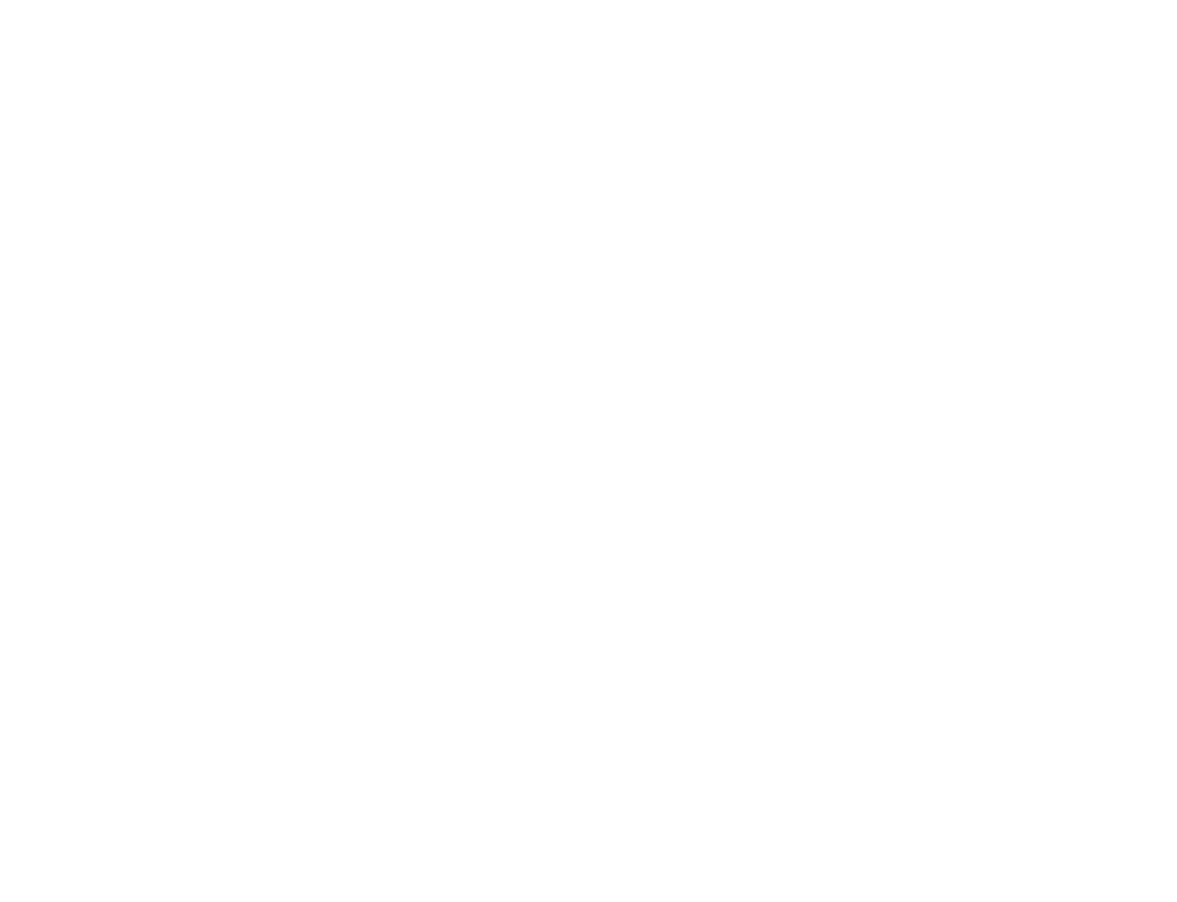 Viet Nguyen Branding
